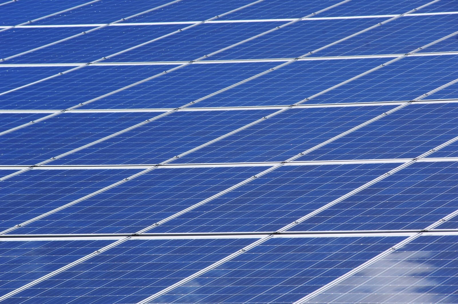 ESG Trends: How Sustainable Investing is Shaping Private Wealth